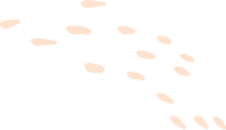 Case-Specific Document Review 6 shape 08 01 2