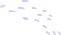About Us 22 shape 08 2