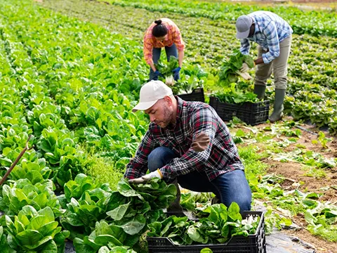 Agricultural Worker Program 2 Agricultural Worker Program