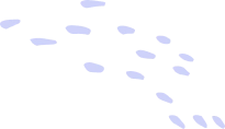Study Permit Application Assistance 6 shape 08 2
